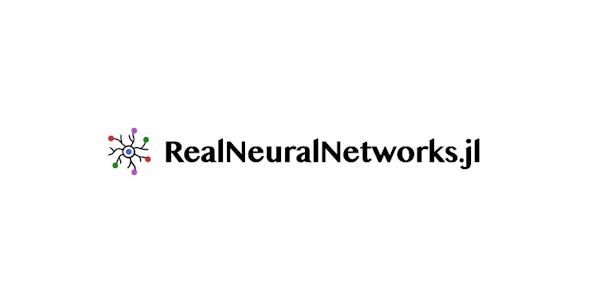 Project Image for RealNeuralNetworks.jl