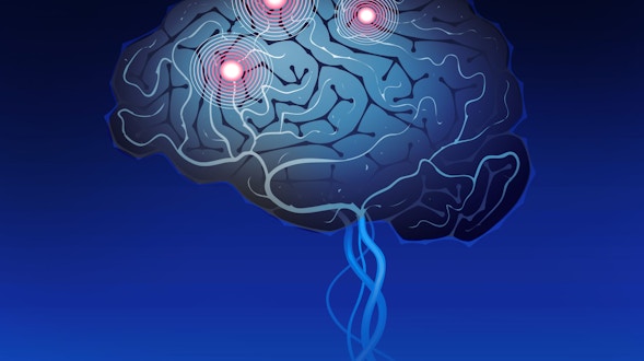 蓝色的大脑里有爱的神经元