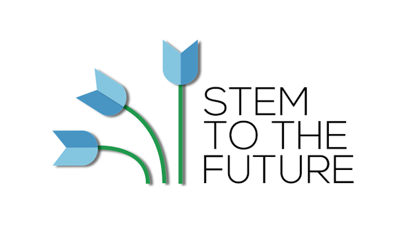 Stem to the future logo