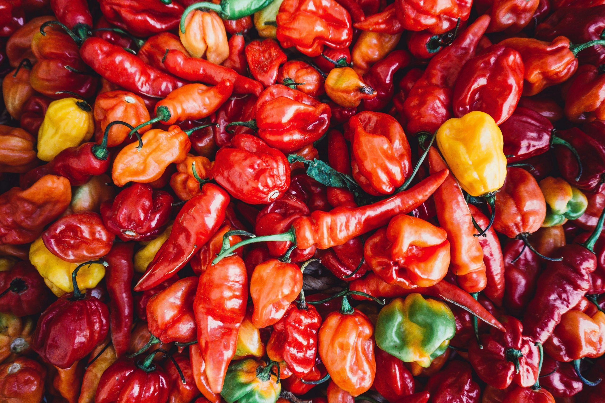 a pile of chili peppers