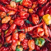 a pile of chili peppers