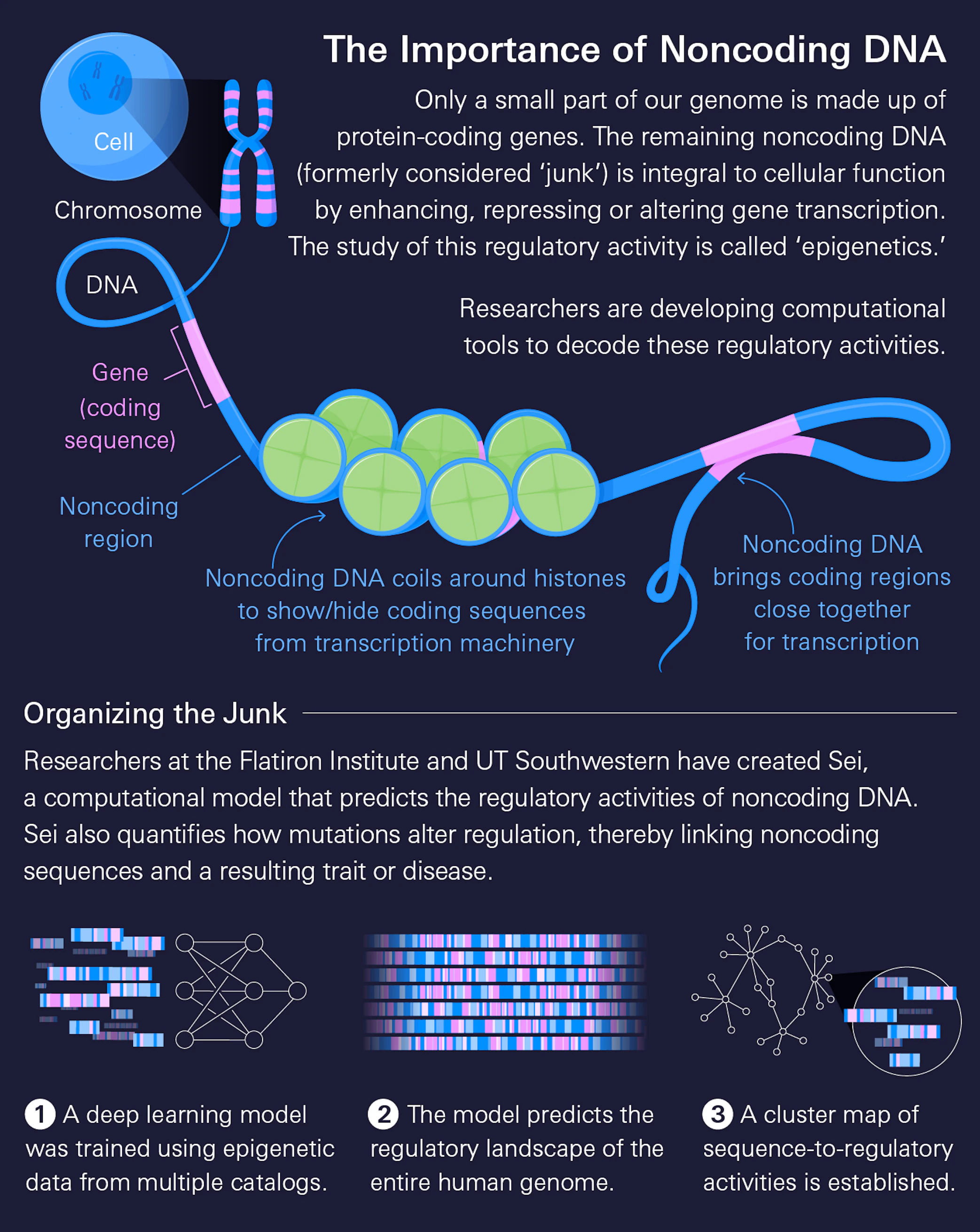Dna Computer Modelling Big Data and Powerful Computing Join Forces to Link DNA Sequence and ...