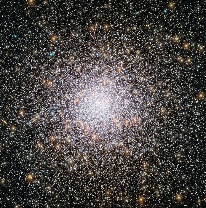   Globular clusters offer some of the most spectacular sights in the night sky. These ornate spheres contain hundreds of thousands of stars, and reside in the outskirts of galaxies. The Milky Way contains over 150 such clusters — and the one shown in this NASA/ESA Hubble Space Telescope image, named NGC 362, is one of the more unusual ones. As stars make their way through life they fuse elements together in their cores, creating heavier and heavier elements — known in astronomy as metals — in the process. When these stars die, they flood their surroundings with the material they have formed during their lifetimes, enriching the interstellar medium with metals. Stars that form later therefore contain higher proportions of metals than their older relatives. By studying the different elements present within individual stars in NGC 362, astronomers discovered that the cluster boasts a surprisingly high metal content, indicating that it is younger than expected. Although most globular clusters are much older than the majority of stars in their host galaxy, NGC 362 bucks the trend, with an age lying between 10 and 11 billion years old. For reference, the age of the Milky Way is estimated to be above 13 billion years. This image, in which you can view NGC 362’s individual stars, was taken by Hubble’s Advanced Camera for Surveys (ACS).