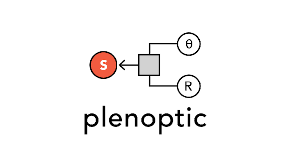 Project Image for plenoptic