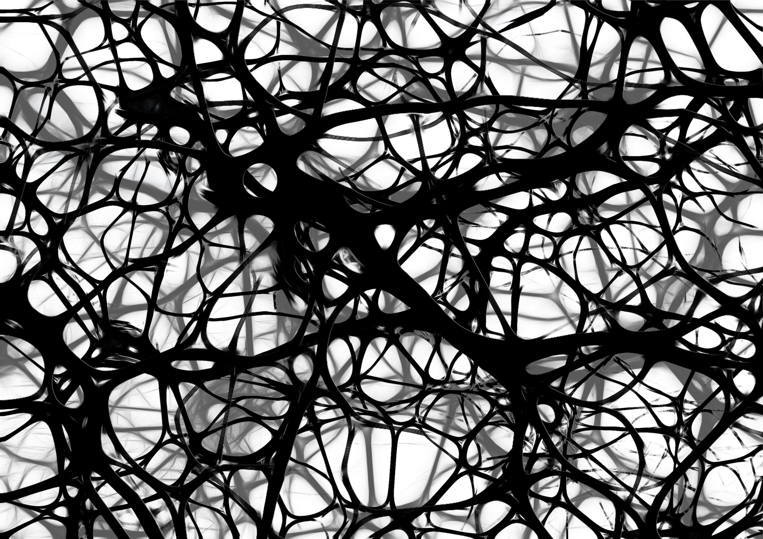 black and white web of neurons