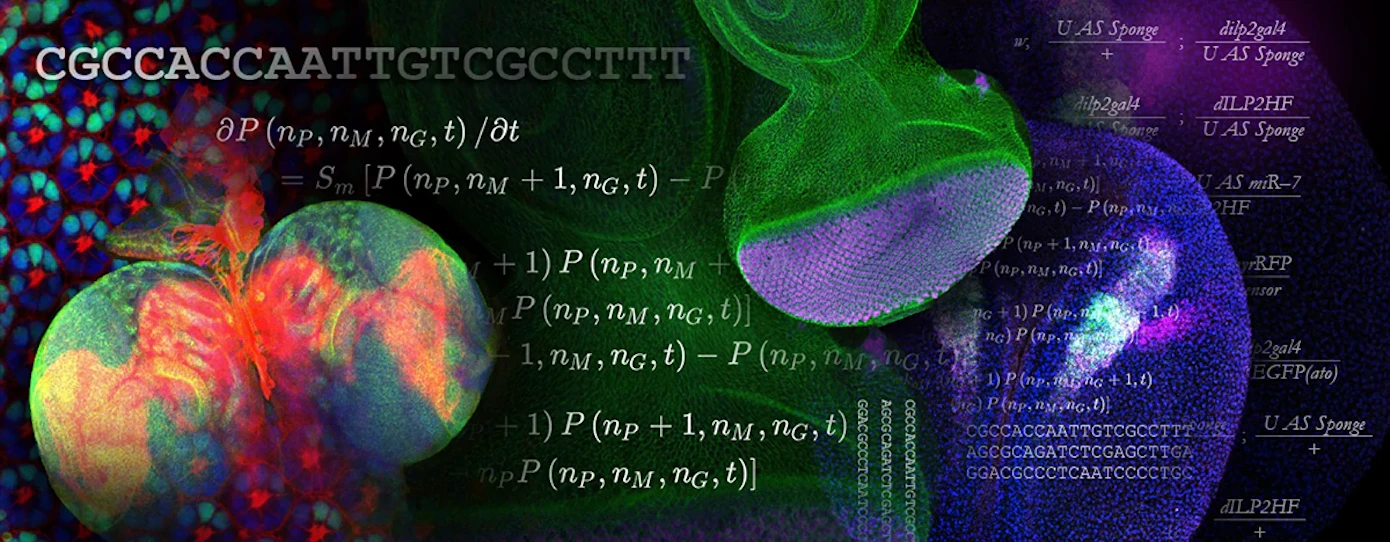 Math In Bio New $50 Million Institute Aims to Use the Power of Math to Model ...