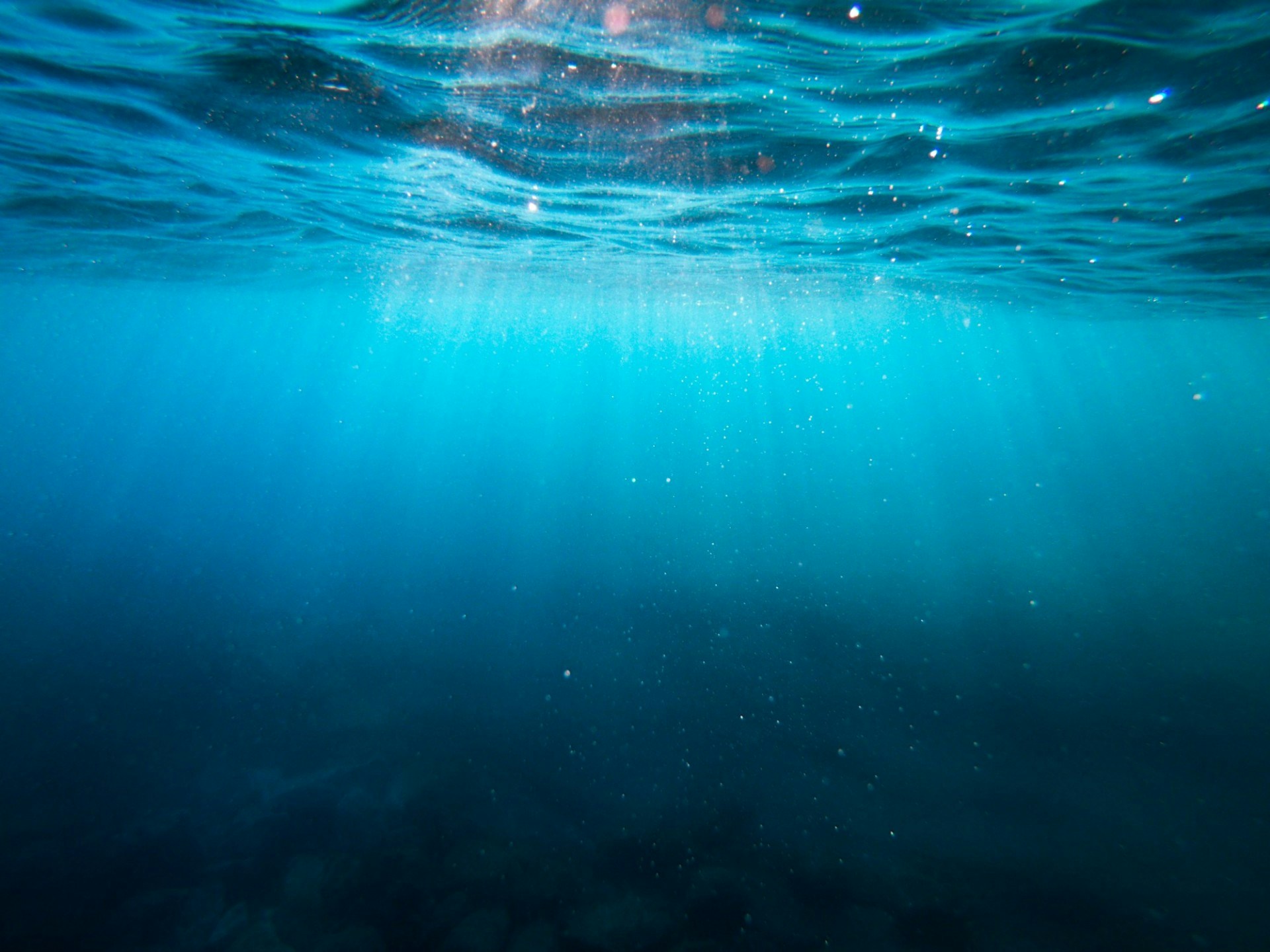 Image of the light shining through the ocean. Image by Christian Palmer