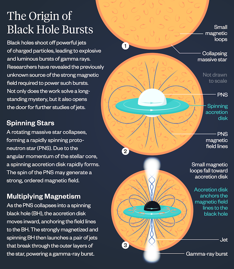 Infographic on black hole magnetism