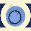 brackets with scientific illustration