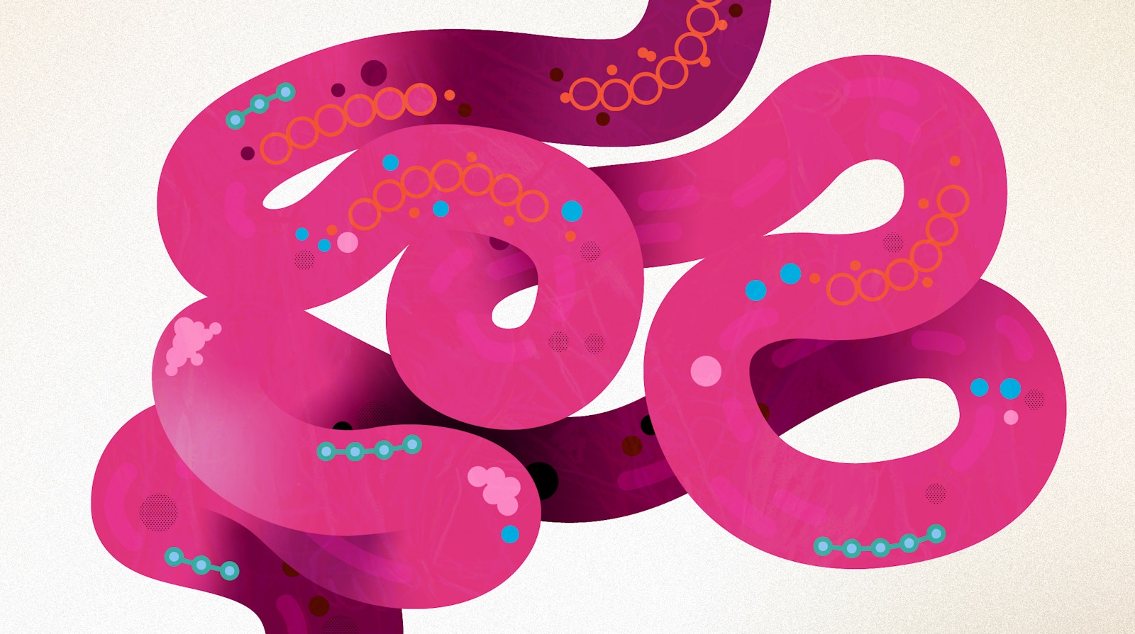 To Restore Your Gut Health, a Healthy Diet Matters Most To Restore Your Gut Health, a Healthy Diet Matters Most