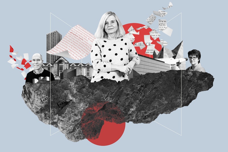 In its first year of publication, The Transmitter has taken home four Neal Awards, including for Best Profile of ﻿Maiken Nedergaard, pictured.