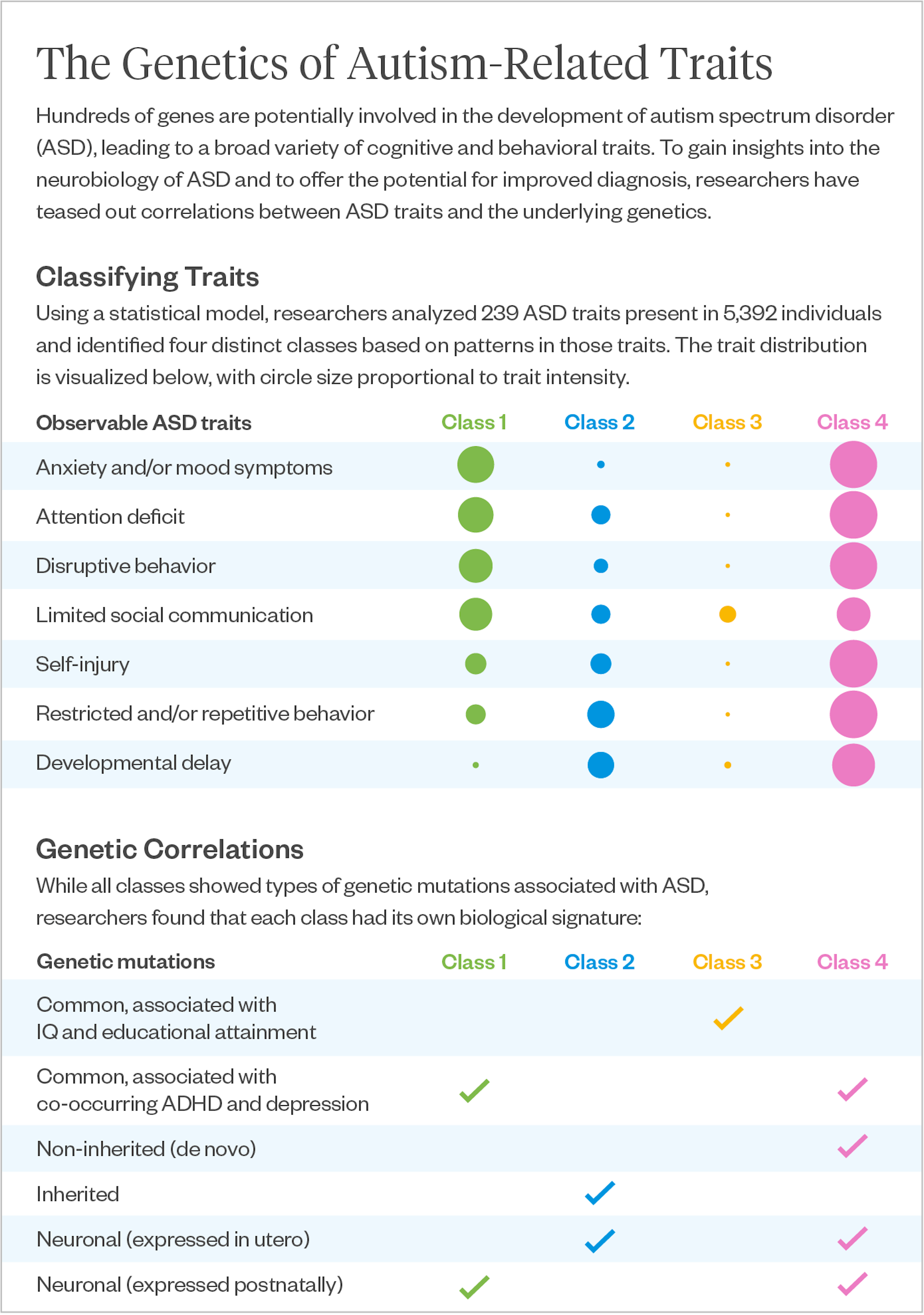 New Study Reveals Subclasses of Autism by Linking Traits to Genetics