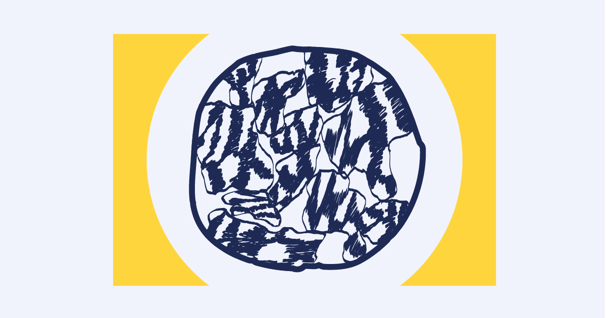 Spotlight illustration for SFARI.