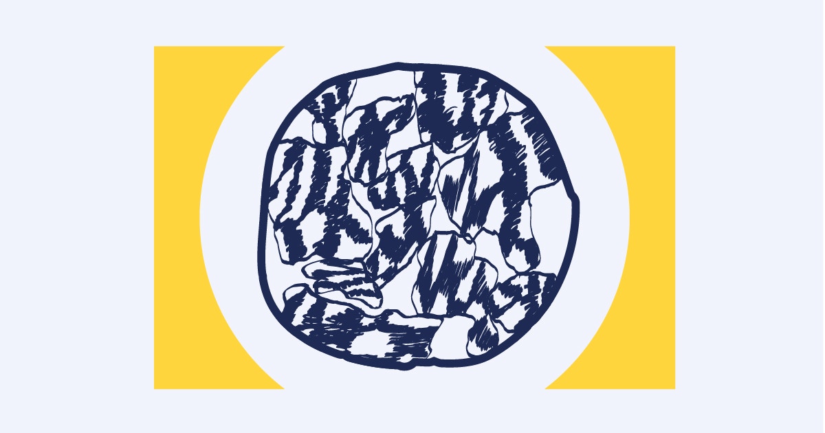 Simons Foundation Announces Recipients of 2025 Fellows-to-Faculty Awards