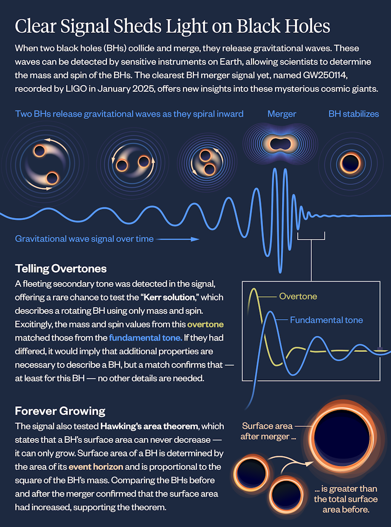 An infographic explaining new findings regarding black holes