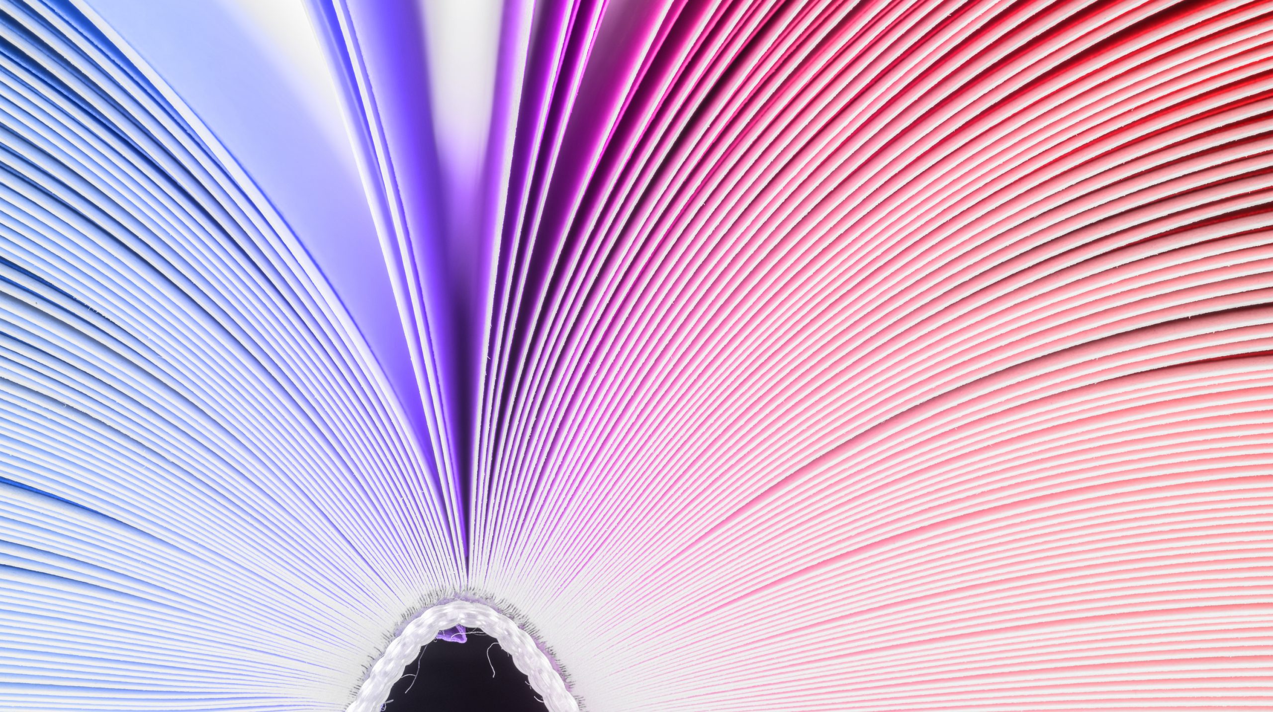 Image of an open book tinted blue and pink.