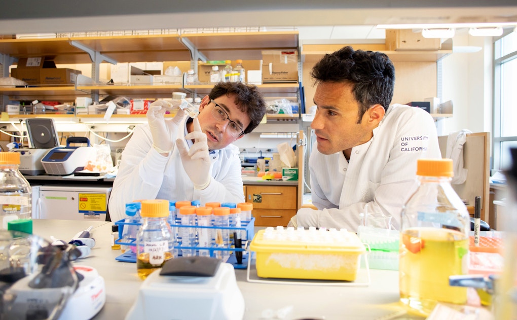 Photo of Tomasz Nowakowski at UCSF Neurosurgery building in the research lab.