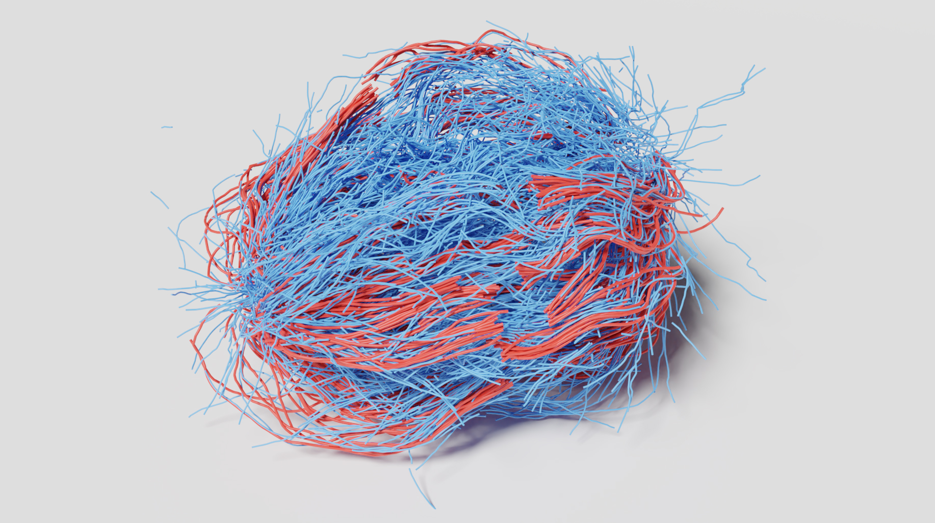 A 3D rendering of components inside a cell that make up the human mitotic spindle.