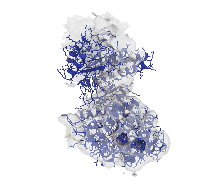 Simulation of a rotating protein that changes from orange to blue