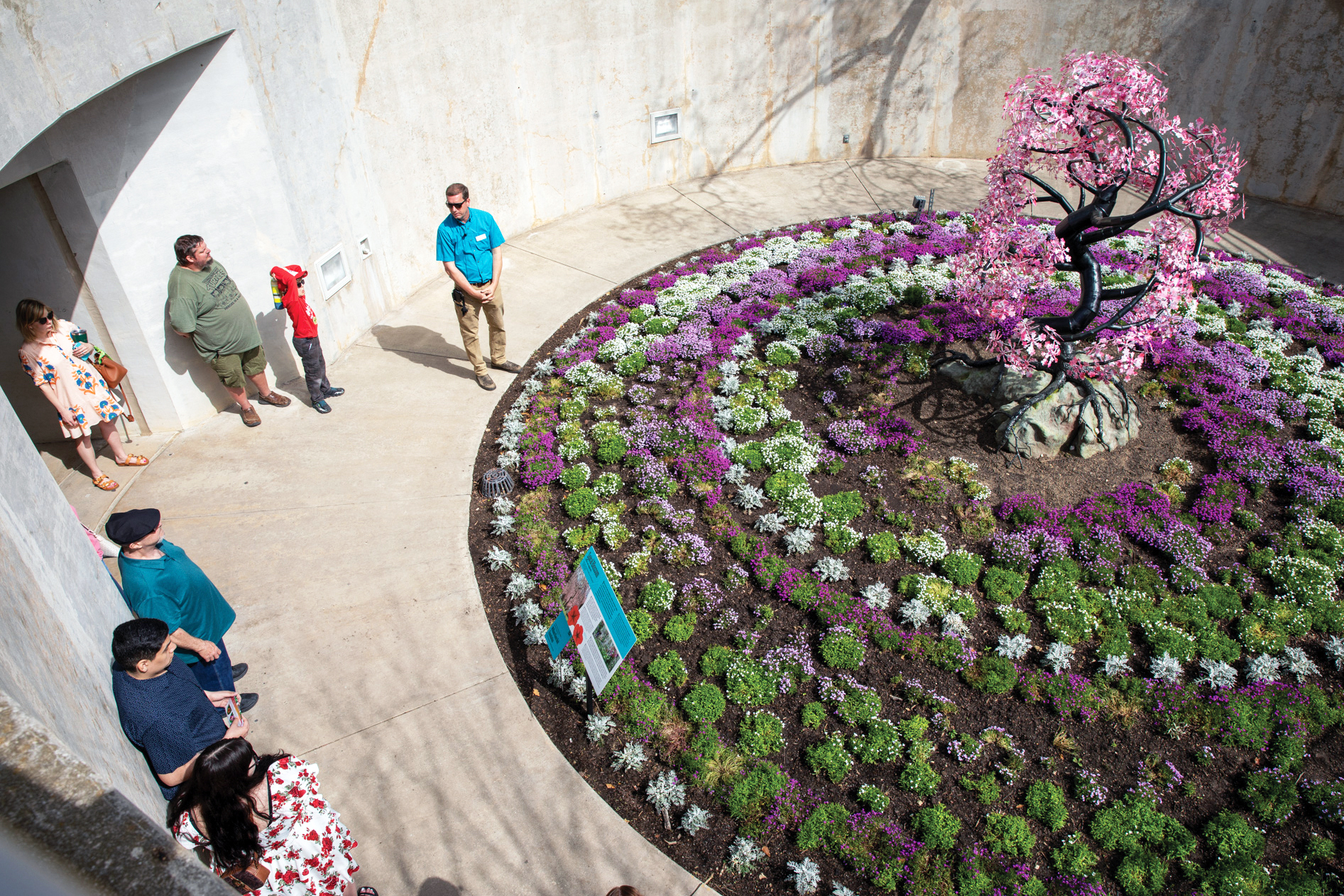 Pi Day Festivities Highlight the Beauty in Mathematics
