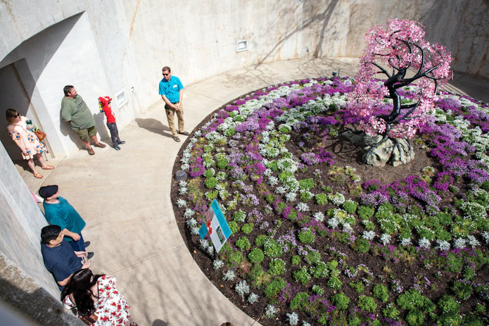 Photo of a circular flowerbed viewed from above.