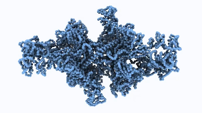 protein structure