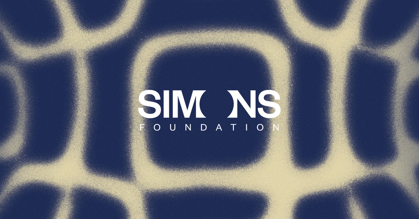 A pattern from Chladni plates with the Simons Foundation logo on top