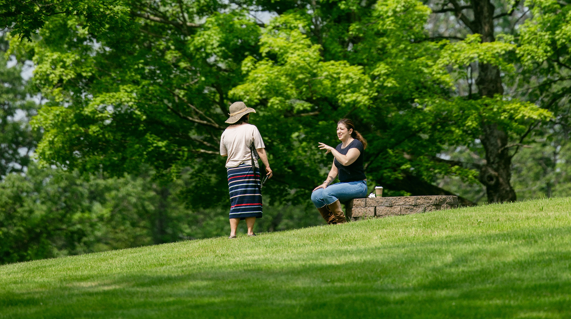 Two people on a green lawn engaged in a conversation.