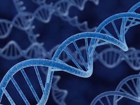 DNA螺旋的三维渲染