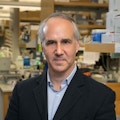 Daniel Geschwind, M.D., Ph.D.Director, Center for Autism Research and Treatment (CART)171218