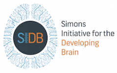西蒙斯大脑发育倡议（SIDB）标志