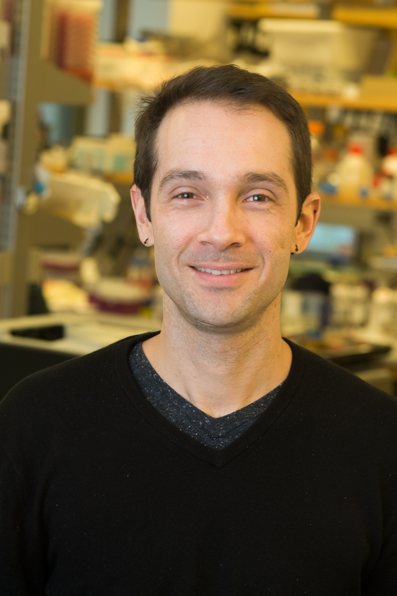 Image of Daniel Mucida