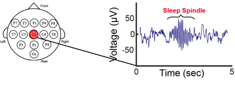 Image of graph
