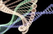 Human DNA Researches
