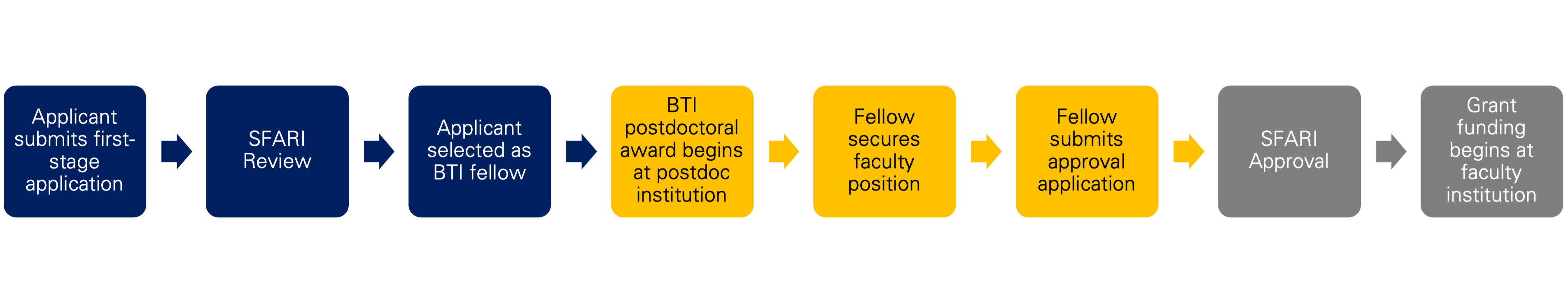 BTI application process diagram