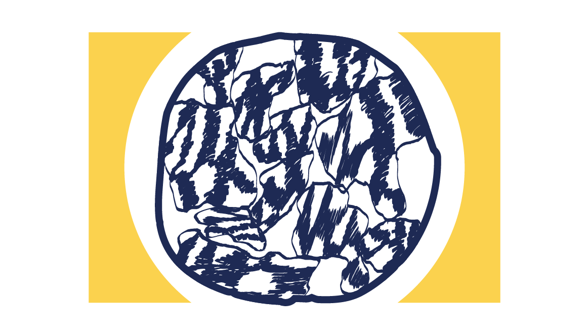 Logo of the Simons Foundation's Autism and Neuroscience division.