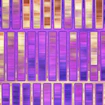Abstract pink tissue sample mosaic.